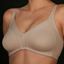 Picture of NON WIRED COTTON BRA BLACK